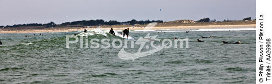 surfing on the beach Plouharnel. - © Philip Plisson / Plisson La Trinité / AA26908 - Photo Galleries - Wave
