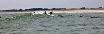 surfing on the beach Plouharnel. © Philip Plisson / Plisson La Trinité / AA26908 - Photo Galleries - Wave