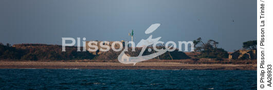 L'île Dumet en face de Piriac. - © Philip Plisson / Plisson La Trinité / AA26933 - Nos reportages photos - Fort