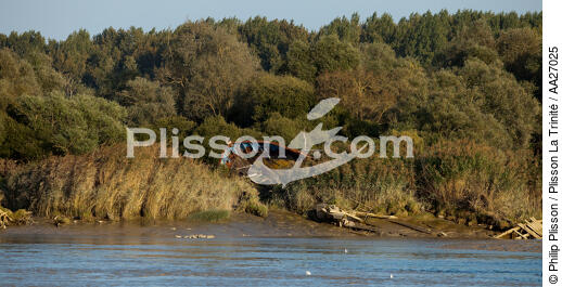 La Loire - © Philip Plisson / Plisson La Trinité / AA27025 - Nos reportages photos - Cimetière marin