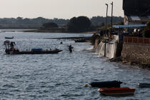 Dans le port du Croisic © Philip Plisson / Plisson La Trinité / AA27046 - Nos reportages photos - Port