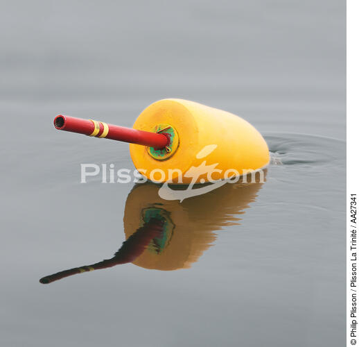 Pot in the New england - © Philip Plisson / Plisson La Trinité / AA27341 - Photo Galleries - Reflection