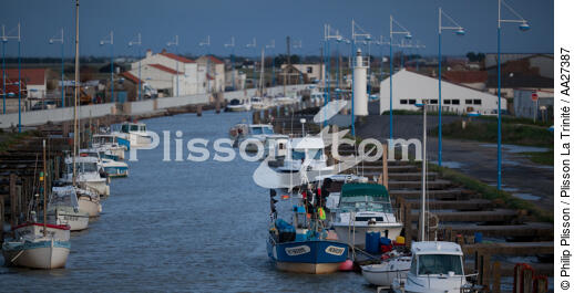 Le port dess Brochets - © Philip Plisson / Plisson La Trinité / AA27387 - Photo Galleries - Dusk