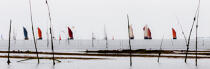 A la sortie du chenal de la Trinité © Philip Plisson / Plisson La Trinité / AA27598 - Nos reportages photos - Mer calme