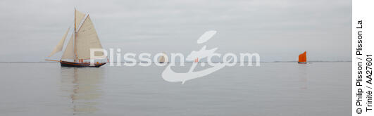 En baie de Quiberon - © Philip Plisson / Plisson La Trinité / AA27601 - Nos reportages photos - Quiberon [Baie de]
