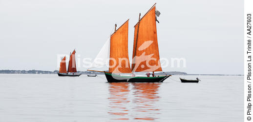 In the Bay - © Philip Plisson / Plisson La Trinité / AA27603 - Photo Galleries - Sinagot, traditional "Golfe du Morbihan" boat