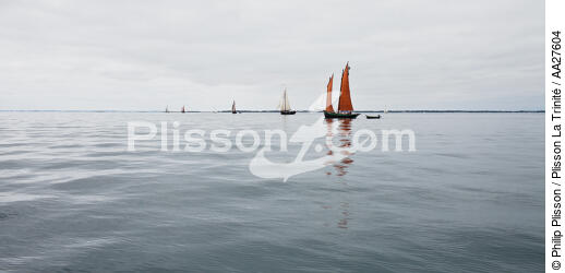 In the Bay - © Philip Plisson / Plisson La Trinité / AA27604 - Photo Galleries - Sinagot, traditional "Golfe du Morbihan" boat