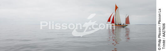 In the Bay - © Philip Plisson / Plisson La Trinité / AA27606 - Photo Galleries - Crayfish fishing boat