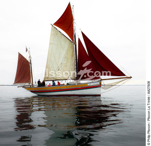 In the Bay - © Philip Plisson / Plisson La Trinité / AA27608 - Photo Galleries - Crayfish fishing boat