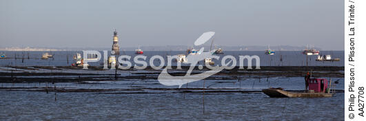 Oyster farming in Charente Maritime [AT] - © Philip Plisson / Plisson La Trinité / AA27708 - Photo Galleries - Oyster bed