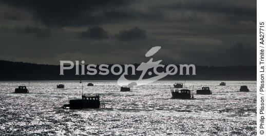 Oyster farming in Charente Maritime [AT] - © Philip Plisson / Plisson La Trinité / AA27715 - Photo Galleries - Backlit