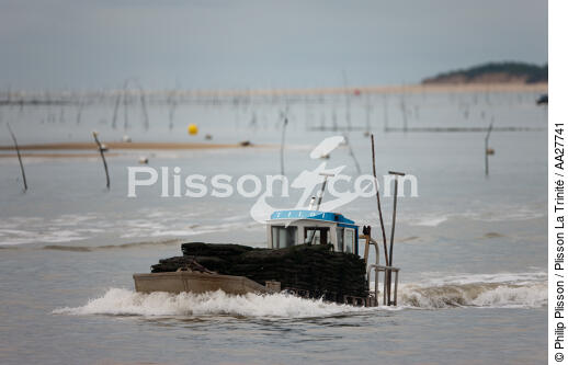 Oyster farming ,la Seudre river entrance. - © Philip Plisson / Plisson La Trinité / AA27741 - Photo Galleries - River [17]