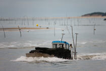 Oyster farming ,la Seudre river entrance. © Philip Plisson / Plisson La Trinité / AA27741 - Photo Galleries - Calm sea