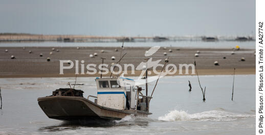 Oyster farming ,la Seudre river entrance. - © Philip Plisson / Plisson La Trinité / AA27742 - Photo Galleries - River [17]