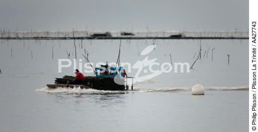 Oyster farming ,la Seudre river entrance. - © Philip Plisson / Plisson La Trinité / AA27743 - Photo Galleries - Calm sea