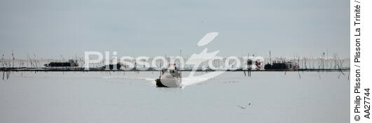 Oyster farming ,la Seudre river entrance. - © Philip Plisson / Plisson La Trinité / AA27744 - Photo Galleries - Calm sea