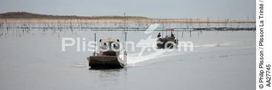 Oyster farming ,la Seudre river entrance. - © Philip Plisson / Plisson La Trinité / AA27745 - Photo Galleries - River [17]