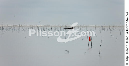 Sur les parcs a la sortie de la Seudre - © Philip Plisson / Plisson La Trinité / AA27746 - Nos reportages photos - Conchyliculture