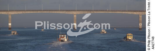 Pontons ostréhicoles quitant la Seudre - © Philip Plisson / Plisson La Trinité / AA27748 - Nos reportages photos - Pont