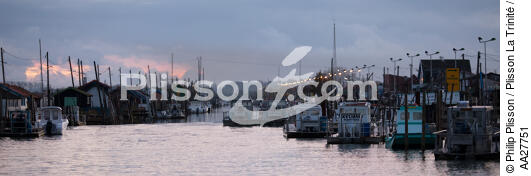La Tremblade port - © Philip Plisson / Plisson La Trinité / AA27751 - Photo Galleries - La Seudre