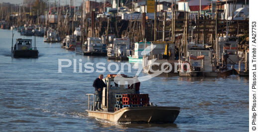 La Tremblade port - © Philip Plisson / Plisson La Trinité / AA27753 - Photo Galleries - Oyster farmer
