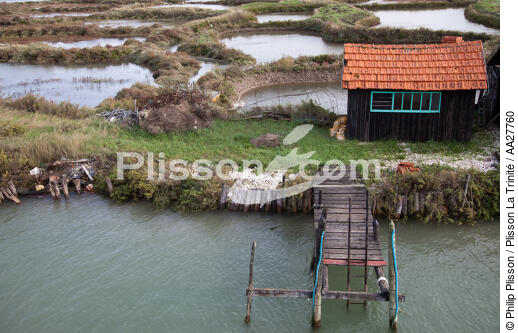 La Tremblade port - © Philip Plisson / Plisson La Trinité / AA27760 - Photo Galleries - Lighter used by oyster farmers