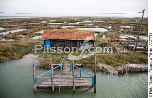 La Tremblade port - © Philip Plisson / Plisson La Trinité / AA27761 - Photo Galleries - Shellfish farming