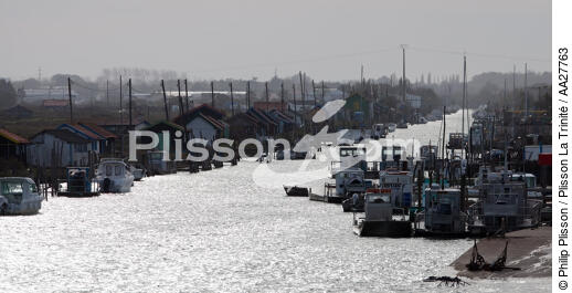 La Tremblade port - © Philip Plisson / Plisson La Trinité / AA27763 - Photo Galleries - Backlit