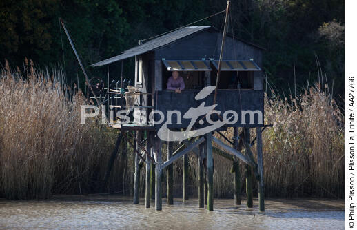 Sur la Charente - © Philip Plisson / Plisson La Trinité / AA27766 - Nos reportages photos - Filet de pêche