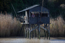 Charente river © Philip Plisson / Pêcheur d’Images / AA27766 - Photo Galleries - Fishing nets
