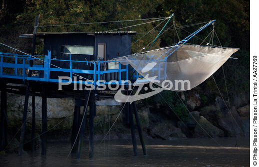 Sur la Charente - © Philip Plisson / Plisson La Trinité / AA27769 - Nos reportages photos - Filet de pêche