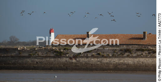 Fort Vasoux on Charente river - © Philip Plisson / Plisson La Trinité / AA27773 - Photo Galleries - Fort