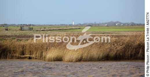 on Charente river - © Philip Plisson / Plisson La Trinité / AA27774 - Photo Galleries - River