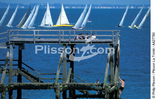 Le bois de la chaise regattas - © Philip Plisson / Plisson La Trinité / AA27780 - Photo Galleries - 8 MIC