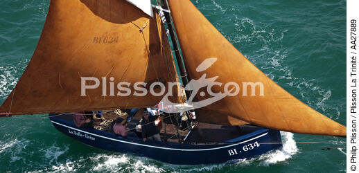 La Semaine du Golfe 2011. - © Philip Plisson / Plisson La Trinité / AA27889 - Photo Galleries - Sardine fishing boat