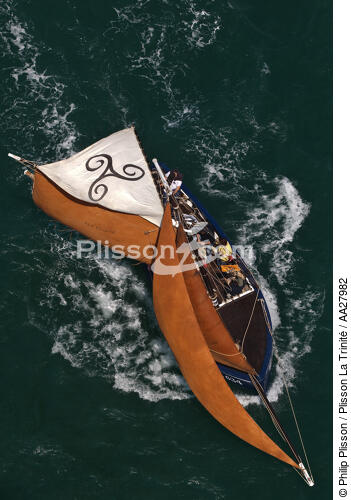 La Semaine du Golfe 2011. - © Philip Plisson / Plisson La Trinité / AA27982 - Photo Galleries - La Belle Iloise