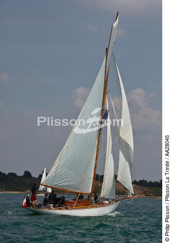 La Semaine du Golfe 2011. - © Philip Plisson / Plisson La Trinité / AA28045 - Photo Galleries - Maritime Event