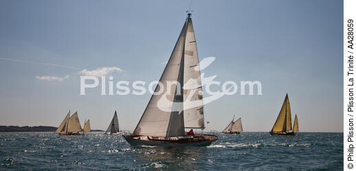 La Semaine du Golfe 2011. - © Philip Plisson / Plisson La Trinité / AA28059 - Photo Galleries - Semaine du Golfe