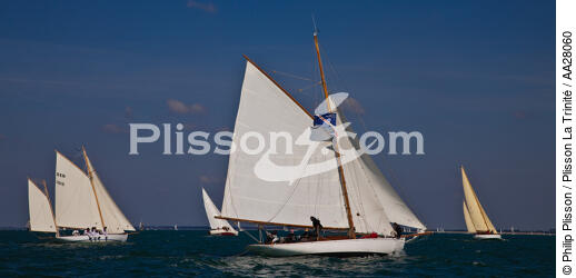 La Semaine du Golfe 2011. - © Philip Plisson / Plisson La Trinité / AA28060 - Nos reportages photos - Semaine du Golfe
