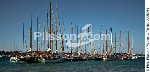 La Semaine du Golfe 2011. - © Philip Plisson / Plisson La Trinité / AA28064 - Photo Galleries - Maritime Event