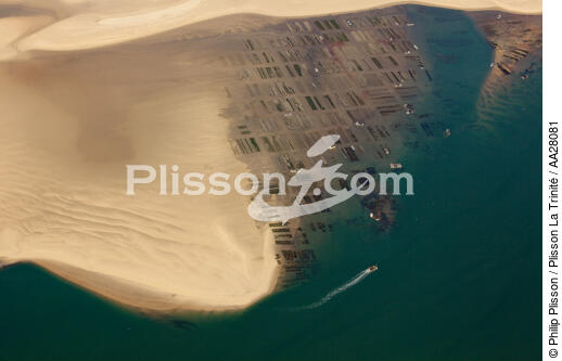 Arguin Sand Bank - © Philip Plisson / Plisson La Trinité / AA28081 - Photo Galleries - Shellfish farming
