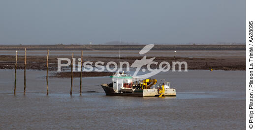 La Faute sur mer - © Philip Plisson / Plisson La Trinité / AA28095 - Nos reportages photos - Pays de Loire