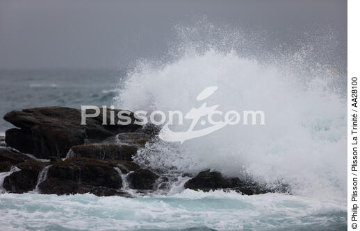 Yeu island - © Philip Plisson / Plisson La Trinité / AA28100 - Photo Galleries - Island [85]