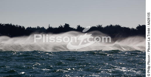 Yeu island - © Philip Plisson / Plisson La Trinité / AA28105 - Photo Galleries - Island [85]