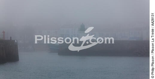 Yeu island - © Philip Plisson / Plisson La Trinité / AA28131 - Photo Galleries - Mist