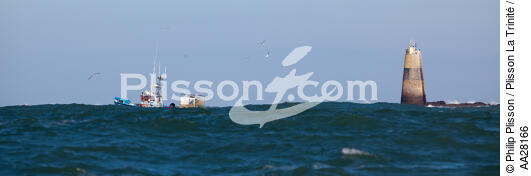 Ile d'Yeu - © Philip Plisson / Plisson La Trinité / AA28166 - Nos reportages photos - Bateau de pêche