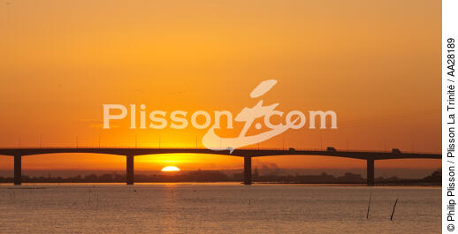 La Seudre estuary - © Philip Plisson / Plisson La Trinité / AA28189 - Photo Galleries - Sun