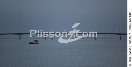 La Seudre estuary - © Philip Plisson / Plisson La Trinité / AA28190 - Photo Galleries - Lighter used by oyster farmers