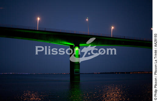 Estuaire de la Seudre - © Philip Plisson / Plisson La Trinité / AA28193 - Nos reportages photos - Pont