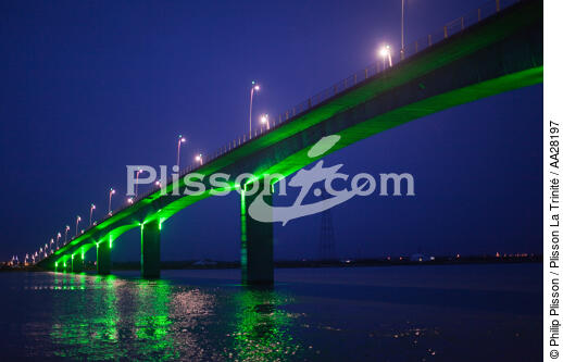 La Seudre estuary - © Philip Plisson / Plisson La Trinité / AA28197 - Photo Galleries - Bridge
